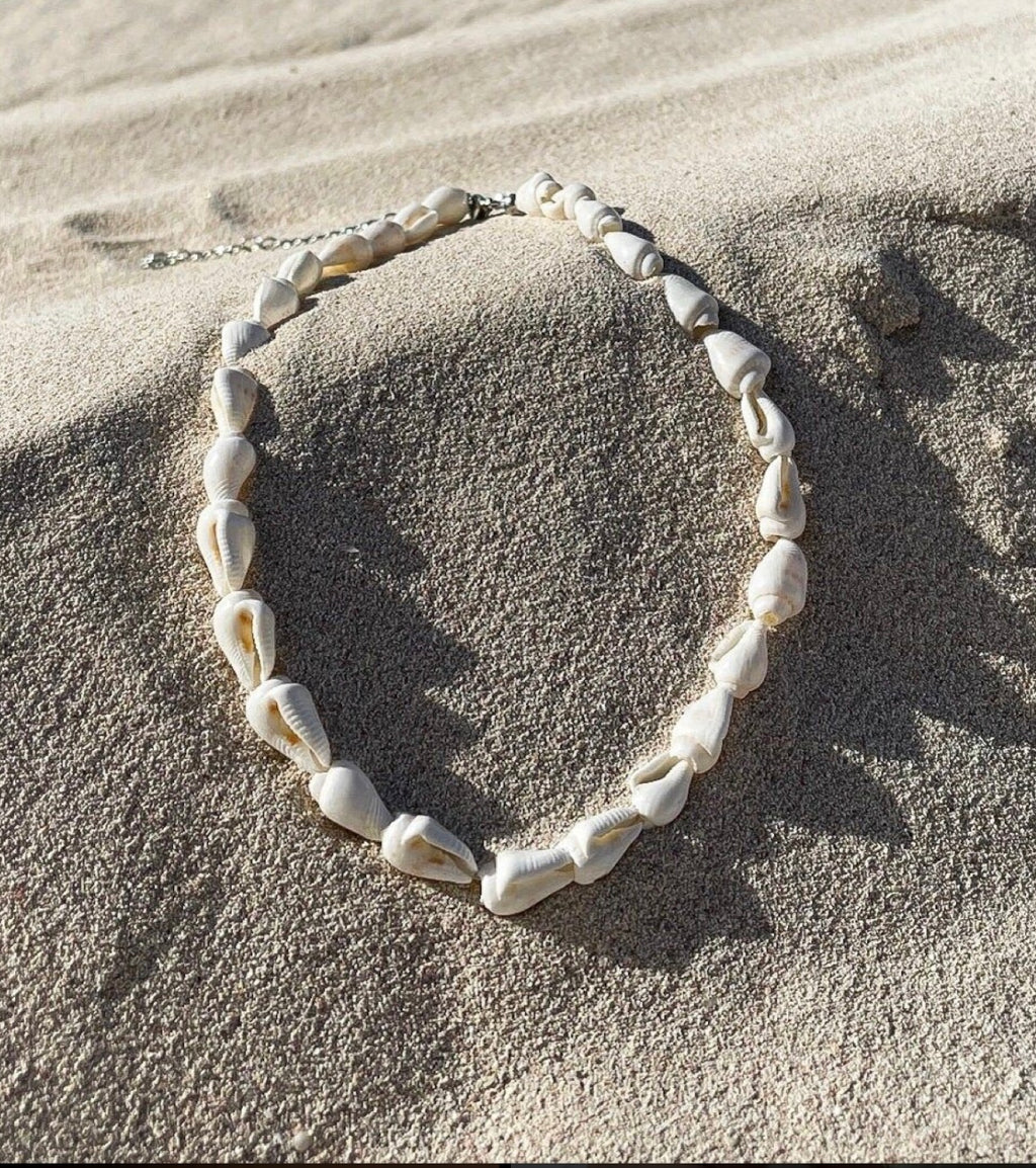 Shells and Gold