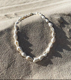 Shells and Gold