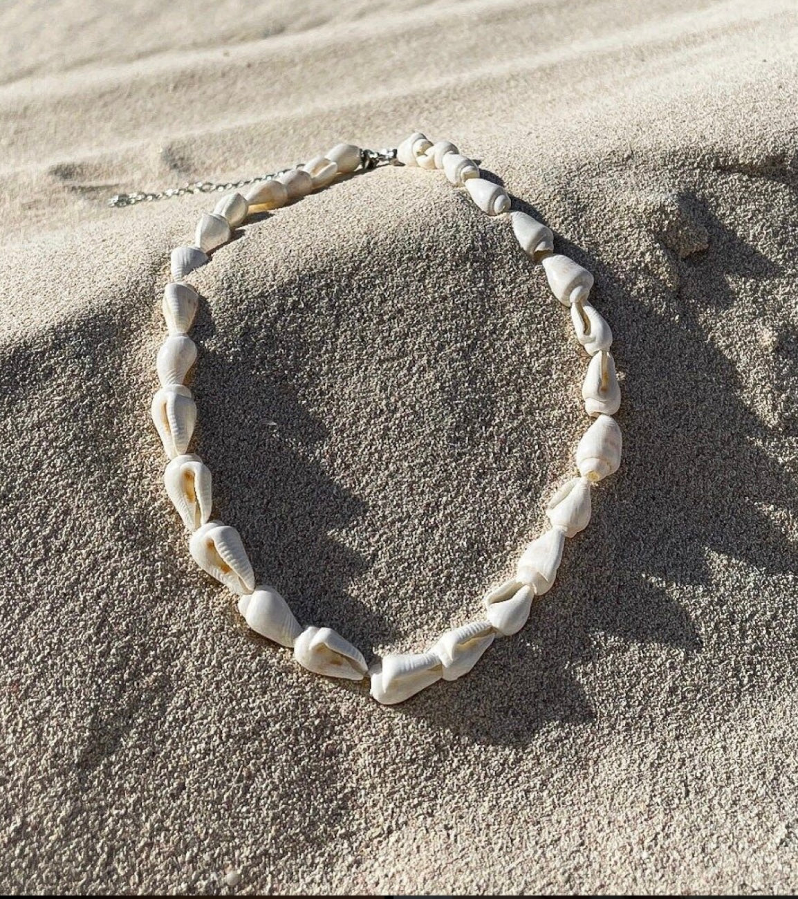 Shells and Gold