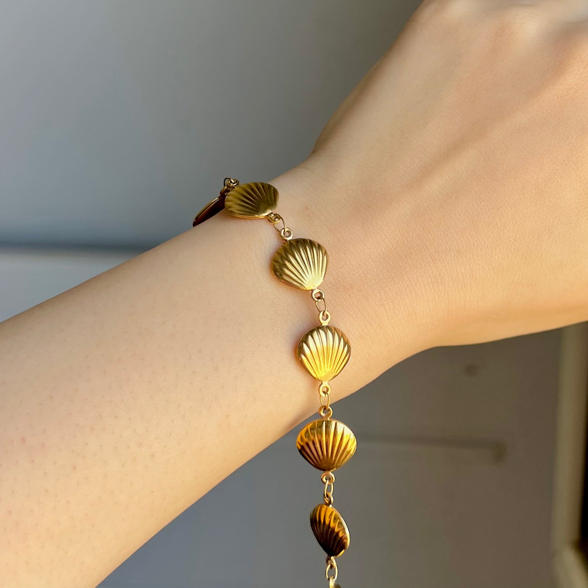 Stainless Shells Bracelet