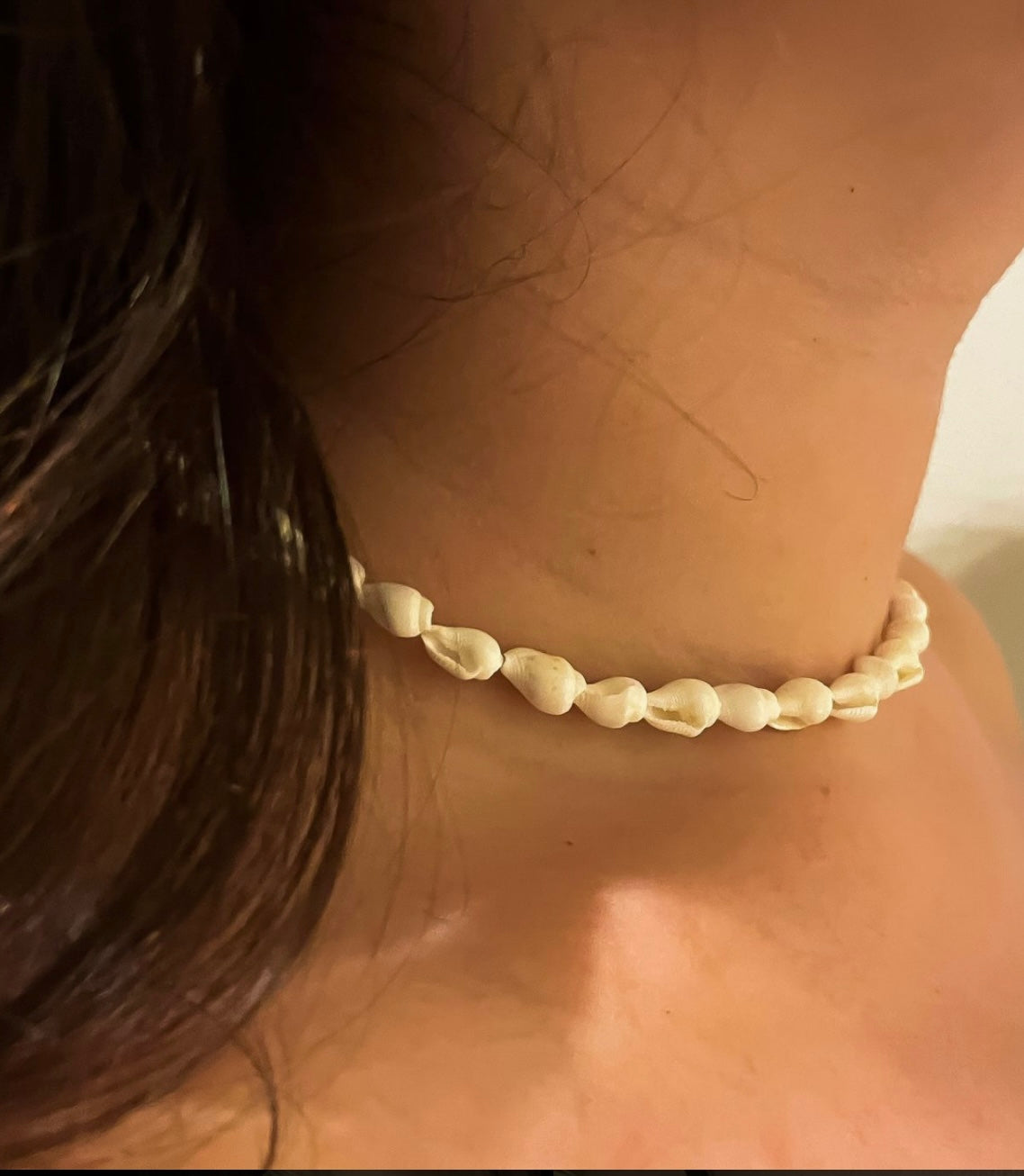 Shells and Gold