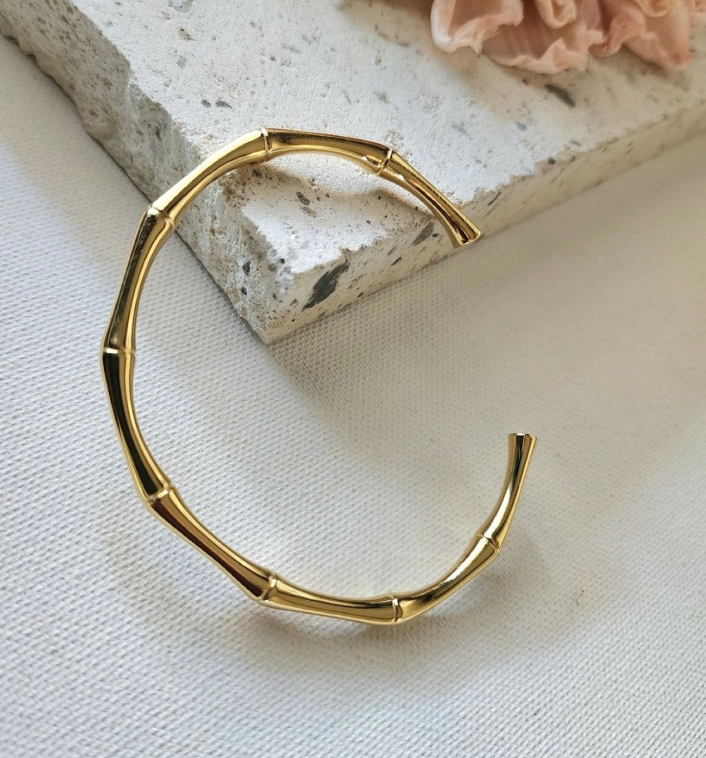 Bone Bangle
